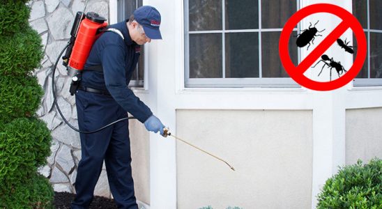 Boğazkale Karınca İlaçlama böcek ilaçlama ve haşere kontrolü — ilaclama-tr.com